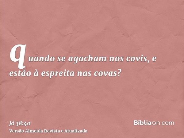 quando se agacham nos covis, e estão à espreita nas covas?