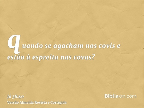quando se agacham nos covis e estão à espreita nas covas?