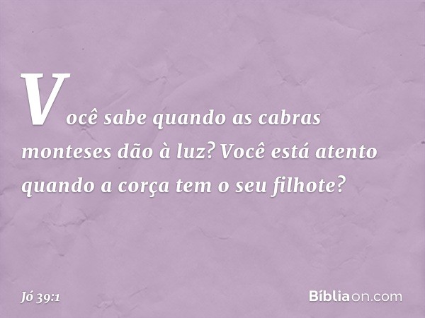 "Você sabe quando
as cabras monteses dão à luz?
Você está atento quando a corça
tem o seu filhote? -- Jó 39:1