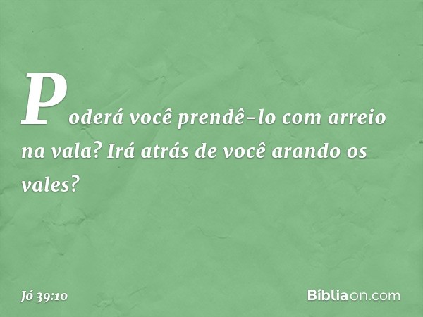 Poderá você prendê-lo
com arreio na vala?
Irá atrás de você arando os vales? -- Jó 39:10