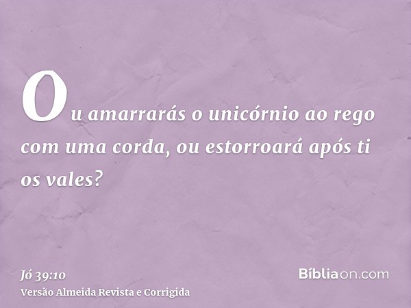 Ou amarrarás o unicórnio ao rego com uma corda, ou estorroará após ti os vales?