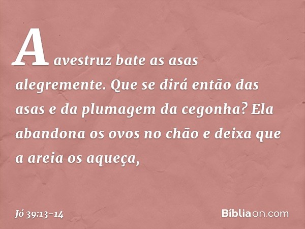 "A avestruz
bate as asas alegremente.
Que se dirá então das asas
e da plumagem da cegonha? Ela abandona os ovos no chão
e deixa que a areia os aqueça, -- Jó 39: