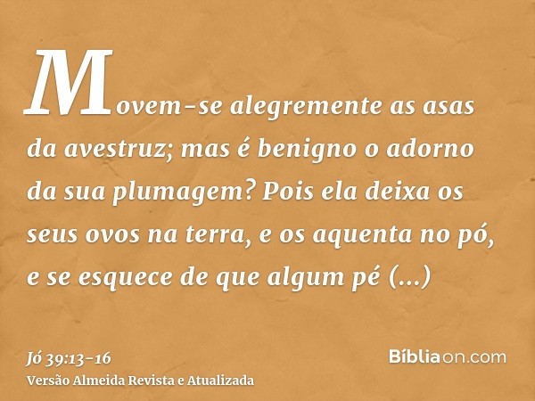 Movem-se alegremente as asas da avestruz; mas é benigno o adorno da sua plumagem?Pois ela deixa os seus ovos na terra, e os aquenta no pó,e se esquece de que al