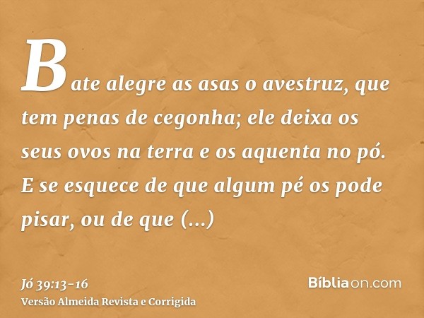 Bate alegre as asas o avestruz, que tem penas de cegonha;ele deixa os seus ovos na terra e os aquenta no pó.E se esquece de que algum pé os pode pisar, ou de qu