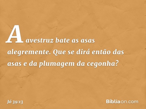 "A avestruz
bate as asas alegremente.
Que se dirá então das asas
e da plumagem da cegonha? -- Jó 39:13