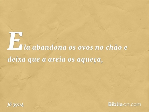 Ela abandona os ovos no chão
e deixa que a areia os aqueça, -- Jó 39:14