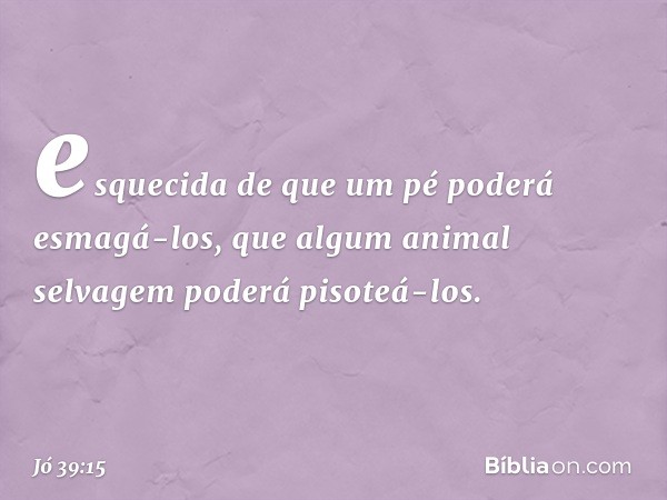 esquecida de que um pé
poderá esmagá-los,
que algum animal selvagem
poderá pisoteá-los. -- Jó 39:15