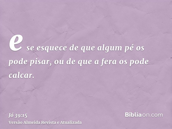 e se esquece de que algum pé os pode pisar, ou de que a fera os pode calcar.