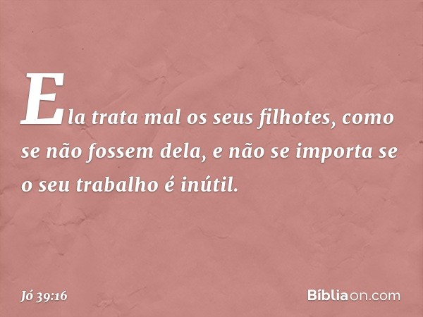 Ela trata mal os seus filhotes,
como se não fossem dela,
e não se importa se o seu trabalho
é inútil. -- Jó 39:16