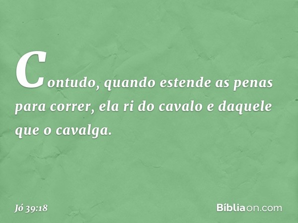 Contudo, quando estende as penas
para correr,
ela ri do cavalo
e daquele que o cavalga. -- Jó 39:18