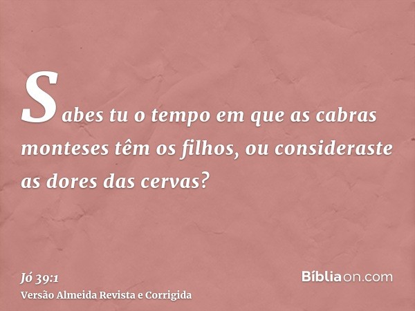 Sabes tu o tempo em que as cabras monteses têm os filhos, ou consideraste as dores das cervas?