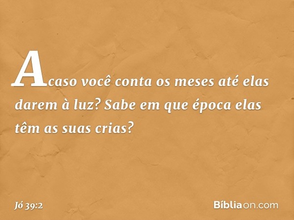 Acaso você conta os meses
até elas darem à luz?
Sabe em que época
elas têm as suas crias? -- Jó 39:2