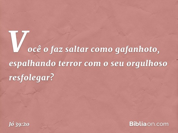 Você o faz saltar como gafanhoto,
espalhando terror
com o seu orgulhoso resfolegar? -- Jó 39:20