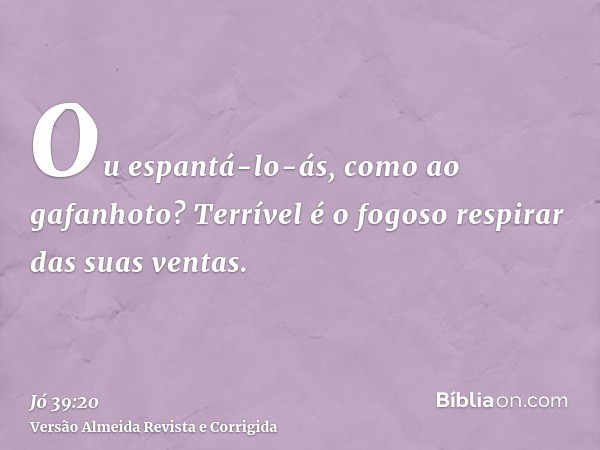 Ou espantá-lo-ás, como ao gafanhoto? Terrível é o fogoso respirar das suas ventas.