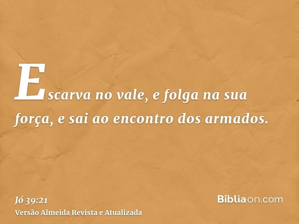 Escarva no vale, e folga na sua força, e sai ao encontro dos armados.