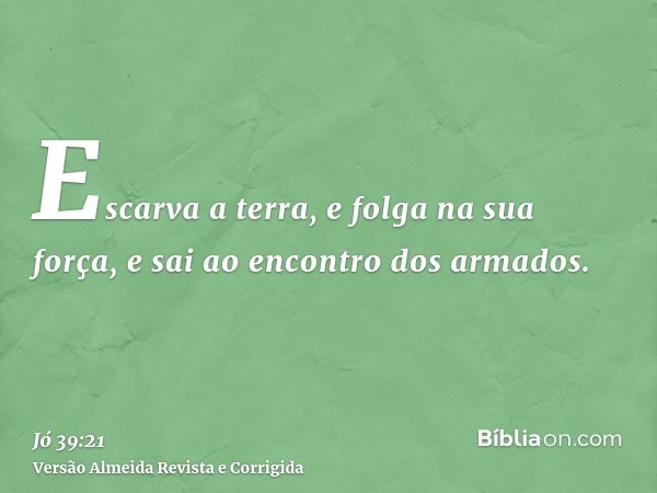 Escarva a terra, e folga na sua força, e sai ao encontro dos armados.