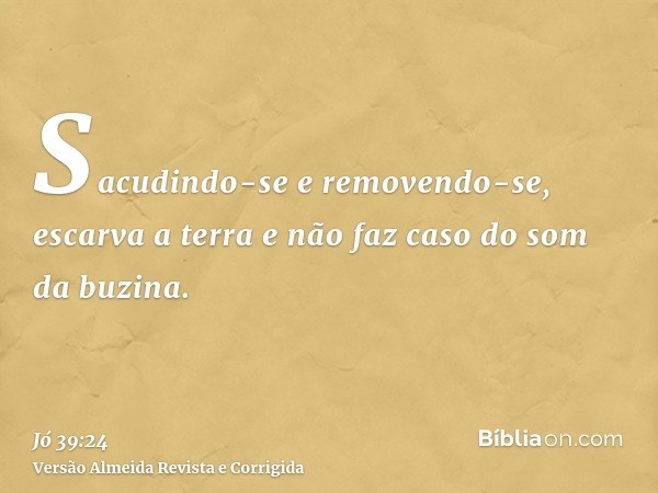 Sacudindo-se e removendo-se, escarva a terra e não faz caso do som da buzina.
