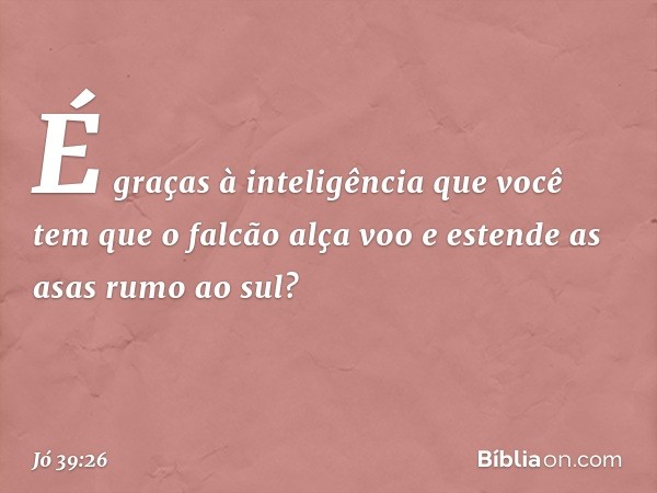 "É graças à inteligência que você tem
que o falcão alça voo
e estende as asas rumo ao sul? -- Jó 39:26