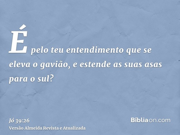 É pelo teu entendimento que se eleva o gavião, e estende as suas asas para o sul?