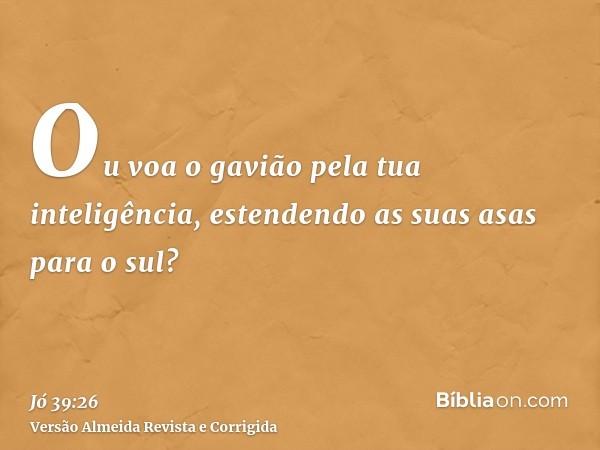 Ou voa o gavião pela tua inteligência, estendendo as suas asas para o sul?