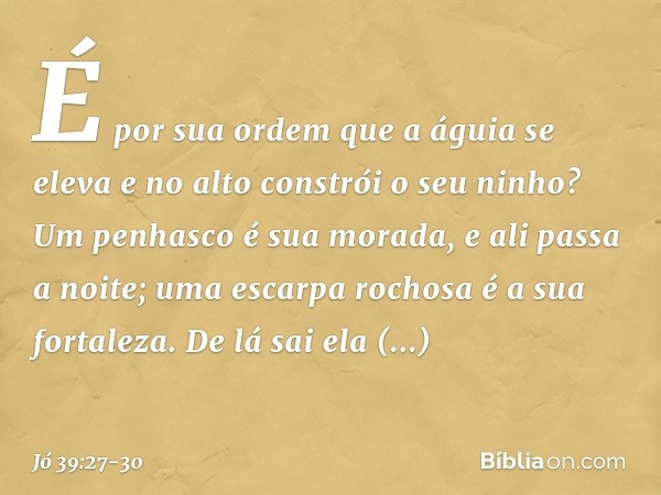 É por sua ordem
que a águia se eleva
e no alto constrói o seu ninho? Um penhasco é sua morada,
e ali passa a noite;
uma escarpa rochosa é a sua fortaleza. De lá