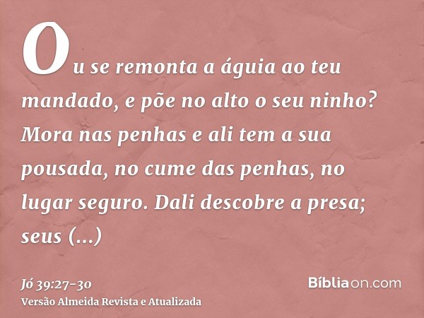 Ou se remonta a águia ao teu mandado, e põe no alto o seu ninho?Mora nas penhas e ali tem a sua pousada, no cume das penhas, no lugar seguro.Dali descobre a pre