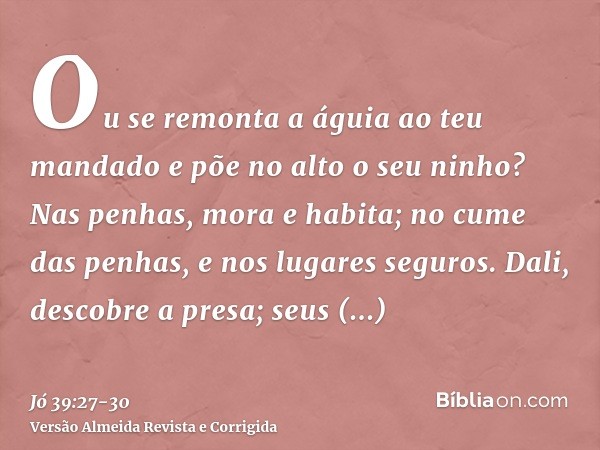 Ou se remonta a águia ao teu mandado e põe no alto o seu ninho?Nas penhas, mora e habita; no cume das penhas, e nos lugares seguros.Dali, descobre a presa; seus