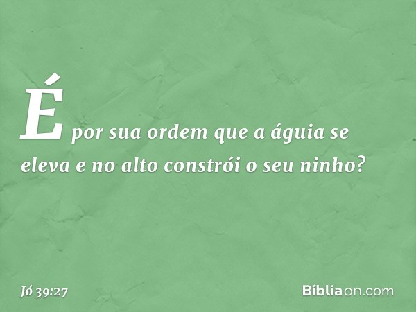 É por sua ordem
que a águia se eleva
e no alto constrói o seu ninho? -- Jó 39:27