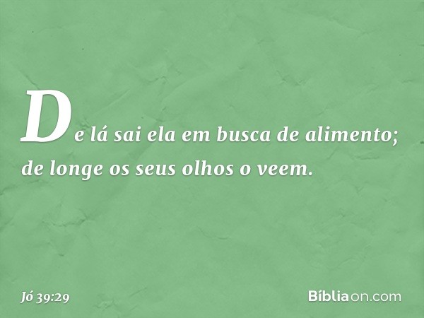 De lá sai ela em busca de alimento;
de longe os seus olhos o veem. -- Jó 39:29