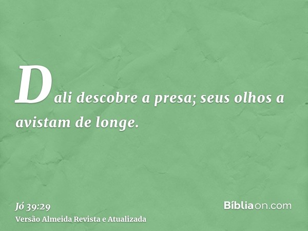 Dali descobre a presa; seus olhos a avistam de longe.