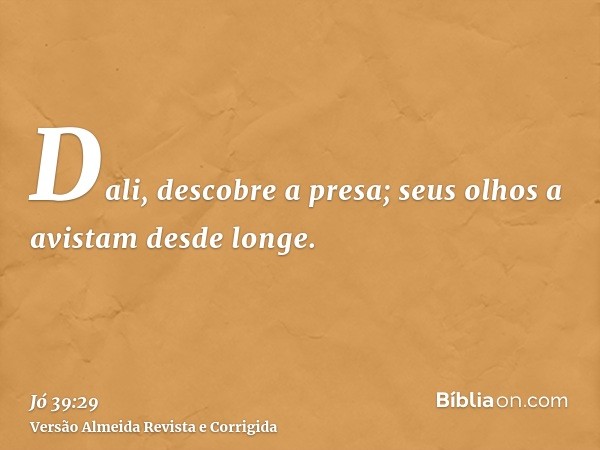Dali, descobre a presa; seus olhos a avistam desde longe.