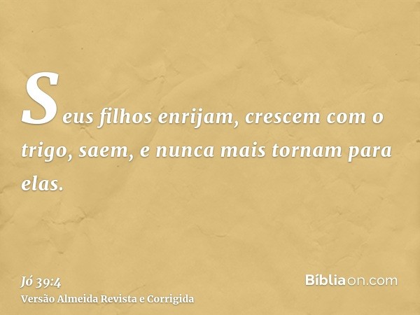 Seus filhos enrijam, crescem com o trigo, saem, e nunca mais tornam para elas.