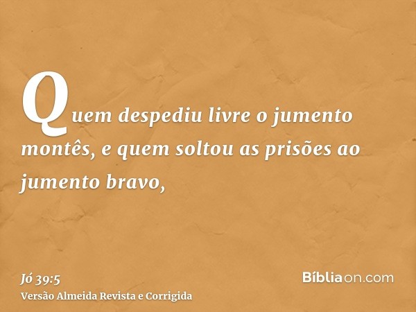Quem despediu livre o jumento montês, e quem soltou as prisões ao jumento bravo,