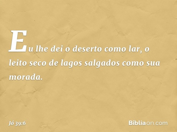 Eu lhe dei o deserto como lar,
o leito seco de lagos salgados
como sua morada. -- Jó 39:6