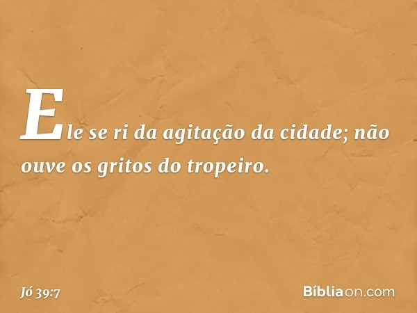 Ele se ri da agitação da cidade;
não ouve os gritos do tropeiro. -- Jó 39:7