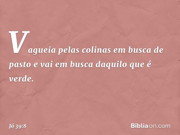 Vagueia pelas colinas
em busca de pasto
e vai em busca daquilo
que é verde. -- Jó 39:8