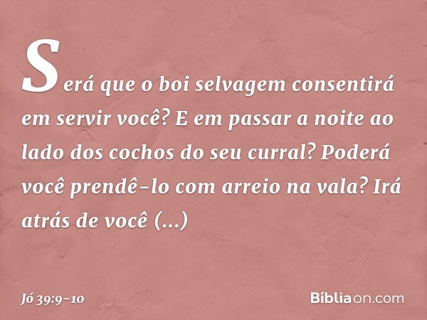 "Será que o boi selvagem consentirá
em servir você?
E em passar a noite ao lado dos cochos
do seu curral? Poderá você prendê-lo
com arreio na vala?
Irá atrás de