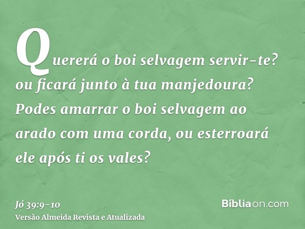 Quererá o boi selvagem servir-te? ou ficará junto à tua manjedoura?Podes amarrar o boi selvagem ao arado com uma corda, ou esterroará ele após ti os vales?