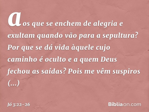aos que se enchem de alegria
e exultam quando vão
para a sepultura? Por que se dá vida àquele
cujo caminho é oculto
e a quem Deus fechou as saídas? Pois me vêm 
