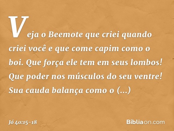 "Veja o Beemote
que criei quando criei você
e que come capim
como o boi. Que força ele tem em seus lombos!
Que poder nos músculos
do seu ventre! Sua cauda balan