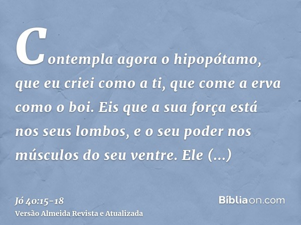 Contempla agora o hipopótamo, que eu criei como a ti, que come a erva como o boi.Eis que a sua força está nos seus lombos, e o seu poder nos músculos do seu ven