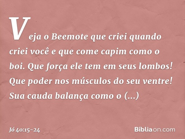 "Veja o Beemote
que criei quando criei você
e que come capim
como o boi. Que força ele tem em seus lombos!
Que poder nos músculos
do seu ventre! Sua cauda balan