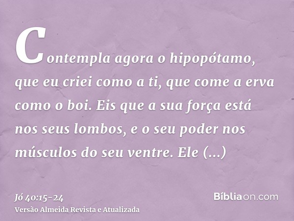 Contempla agora o hipopótamo, que eu criei como a ti, que come a erva como o boi.Eis que a sua força está nos seus lombos, e o seu poder nos músculos do seu ven