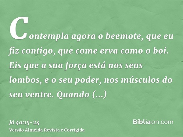 Contempla agora o beemote, que eu fiz contigo, que come erva como o boi.Eis que a sua força está nos seus lombos, e o seu poder, nos músculos do seu ventre.Quan