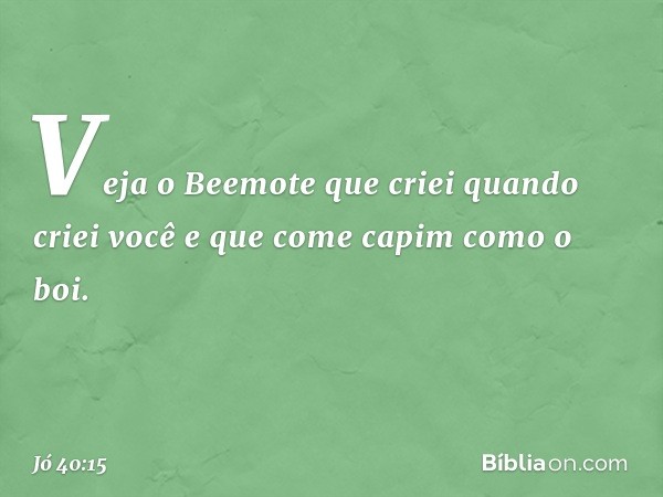 "Veja o Beemote
que criei quando criei você
e que come capim
como o boi. -- Jó 40:15