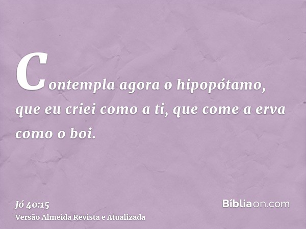 Contempla agora o hipopótamo, que eu criei como a ti, que come a erva como o boi.