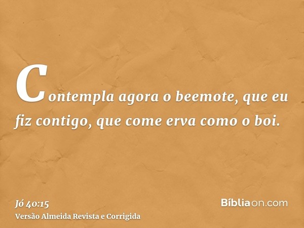 Contempla agora o beemote, que eu fiz contigo, que come erva como o boi.