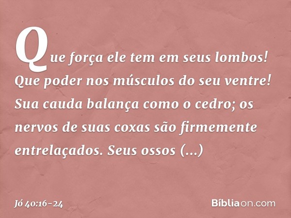 Que força ele tem em seus lombos!
Que poder nos músculos
do seu ventre! Sua cauda balança como o cedro;
os nervos de suas coxas
são firmemente entrelaçados. Seu