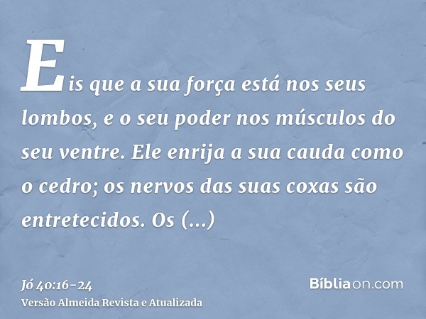 Eis que a sua força está nos seus lombos, e o seu poder nos músculos do seu ventre.Ele enrija a sua cauda como o cedro; os nervos das suas coxas são entretecido