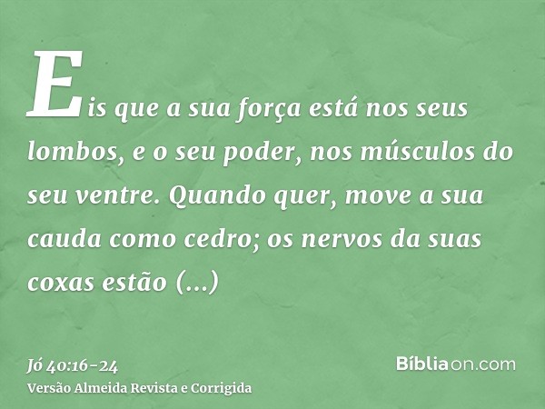 Eis que a sua força está nos seus lombos, e o seu poder, nos músculos do seu ventre.Quando quer, move a sua cauda como cedro; os nervos da suas coxas estão entr